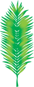 https://download.newsletternewsletter.com/artlinelibrary/p/pa/palm_11173c.gif
